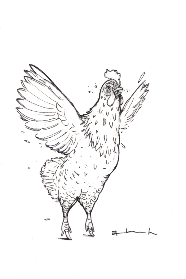 fivedollarchickens 2.jpg