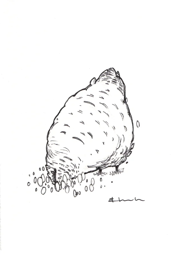 fivedollarchickens 3.jpg