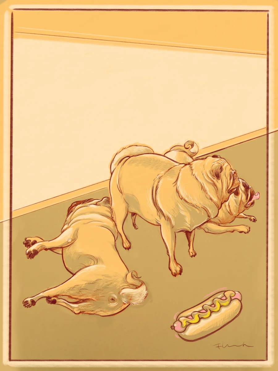 01 hancock_3Pugs-Hotdog.jpg