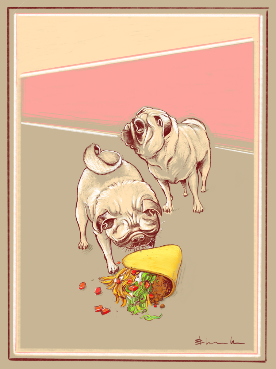 02 hancock_2Pugs-Taco.jpg