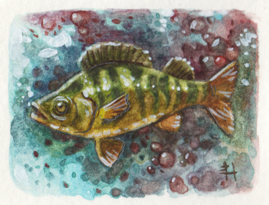 hancock_smartfish01.jpg