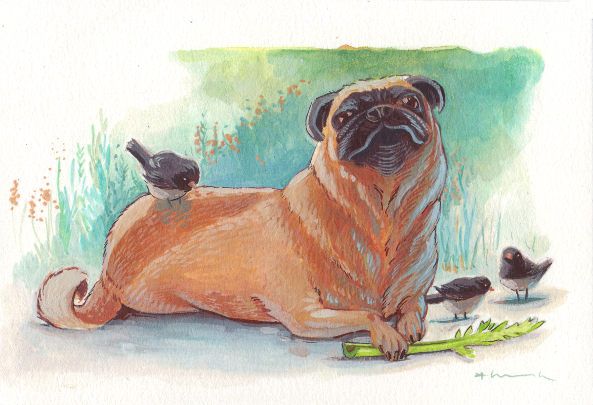 hancock_pugsnacks_celery.jpg