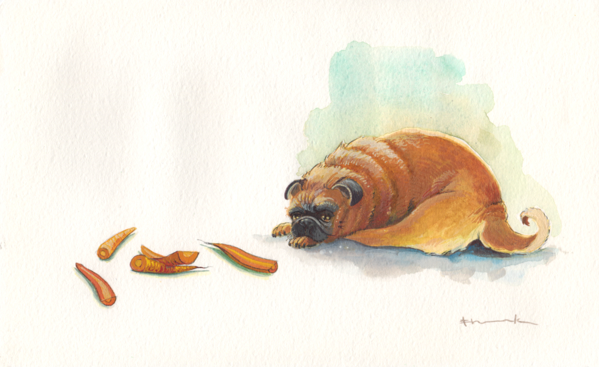 hancock_pugsnacks_carrots.jpg