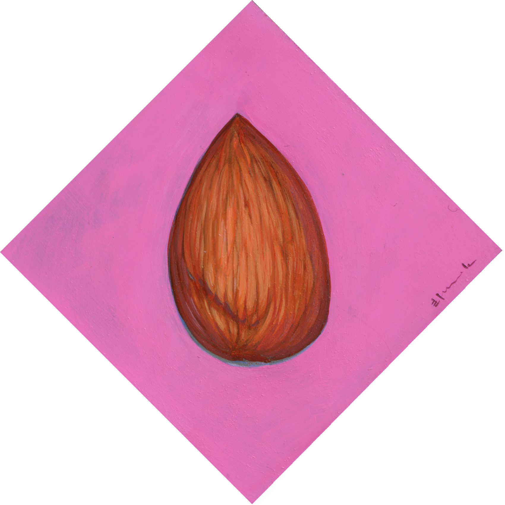hancock_Figure-no.11-Almond-Nut.jpg