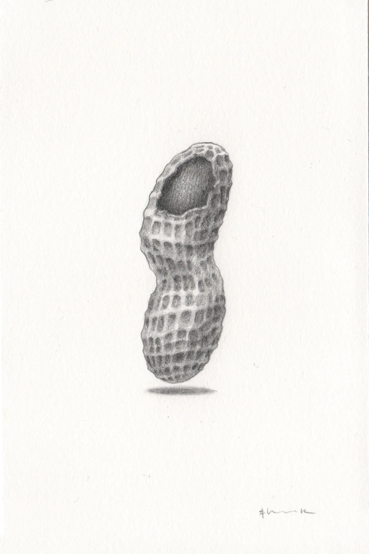 hancock_Figure-no.06-Peanuts.jpg