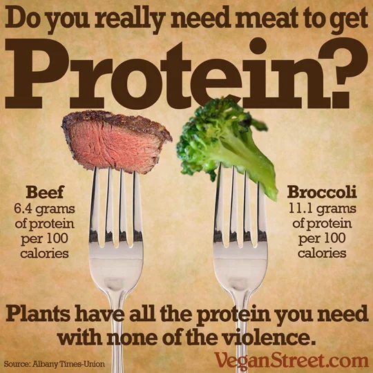 doyouneedmeattogetprotein-lg.jpg