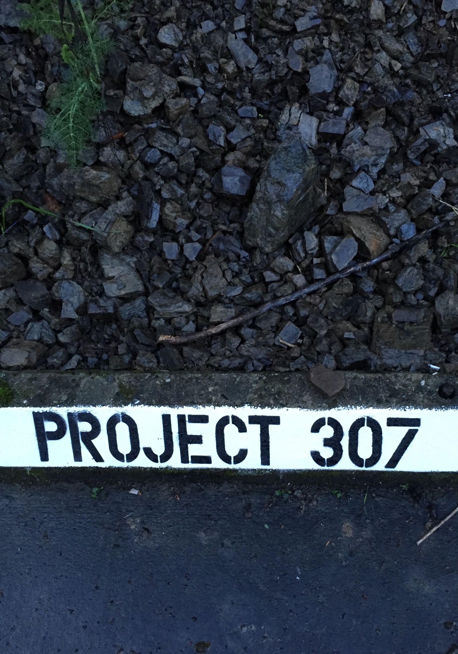 Proejct 307.jpg