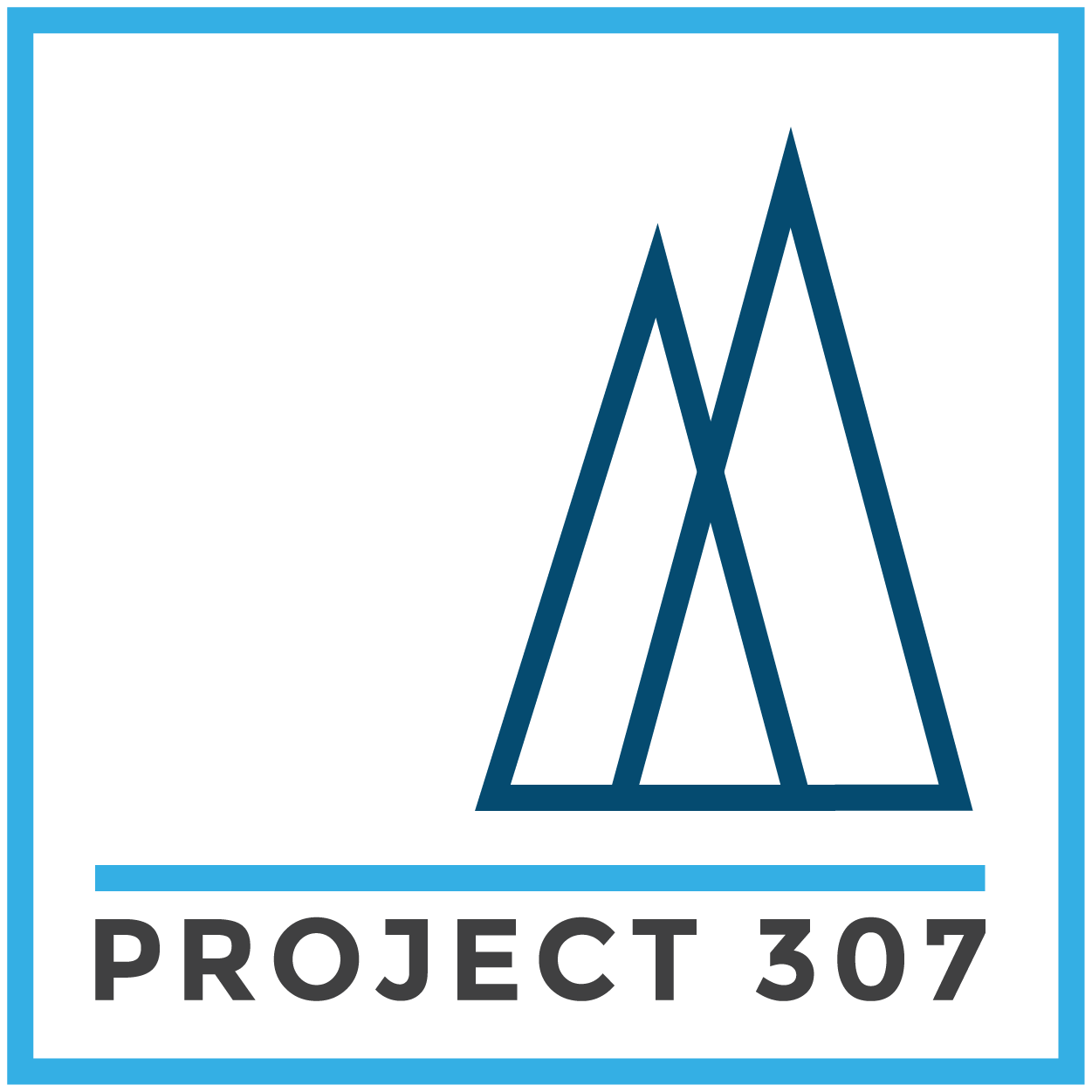 Project 307