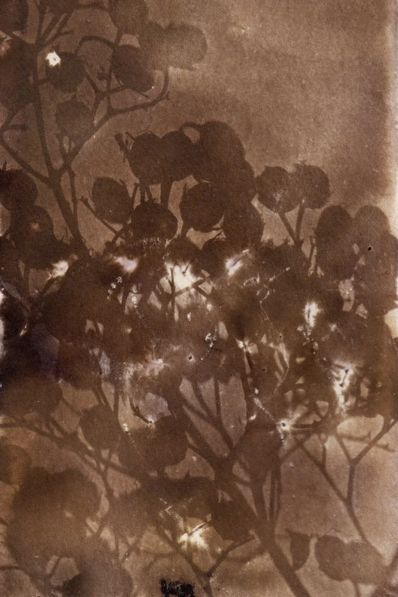 EXPERIMENTAL II