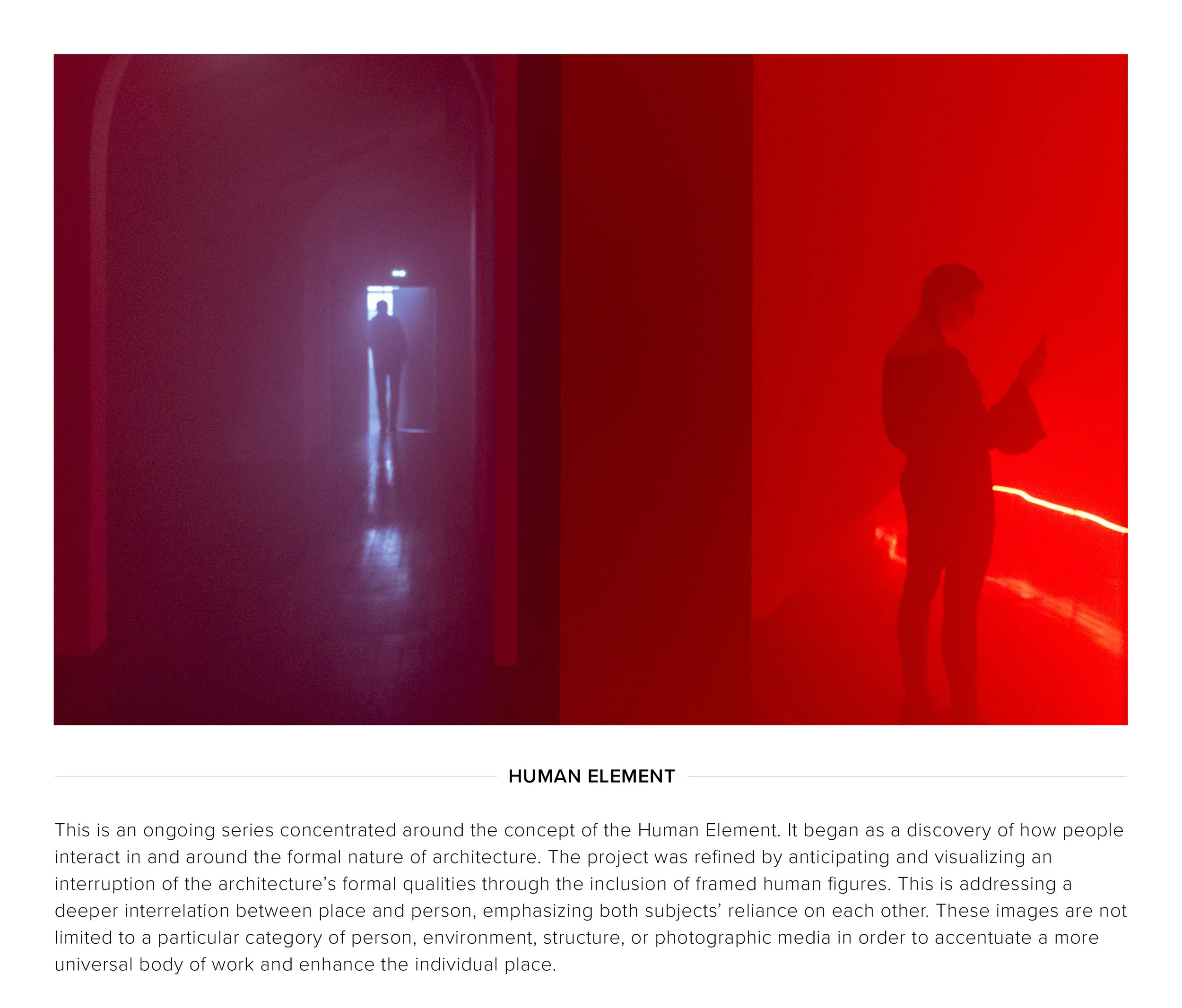 LAMBERT COLLECTION | AVIGNON