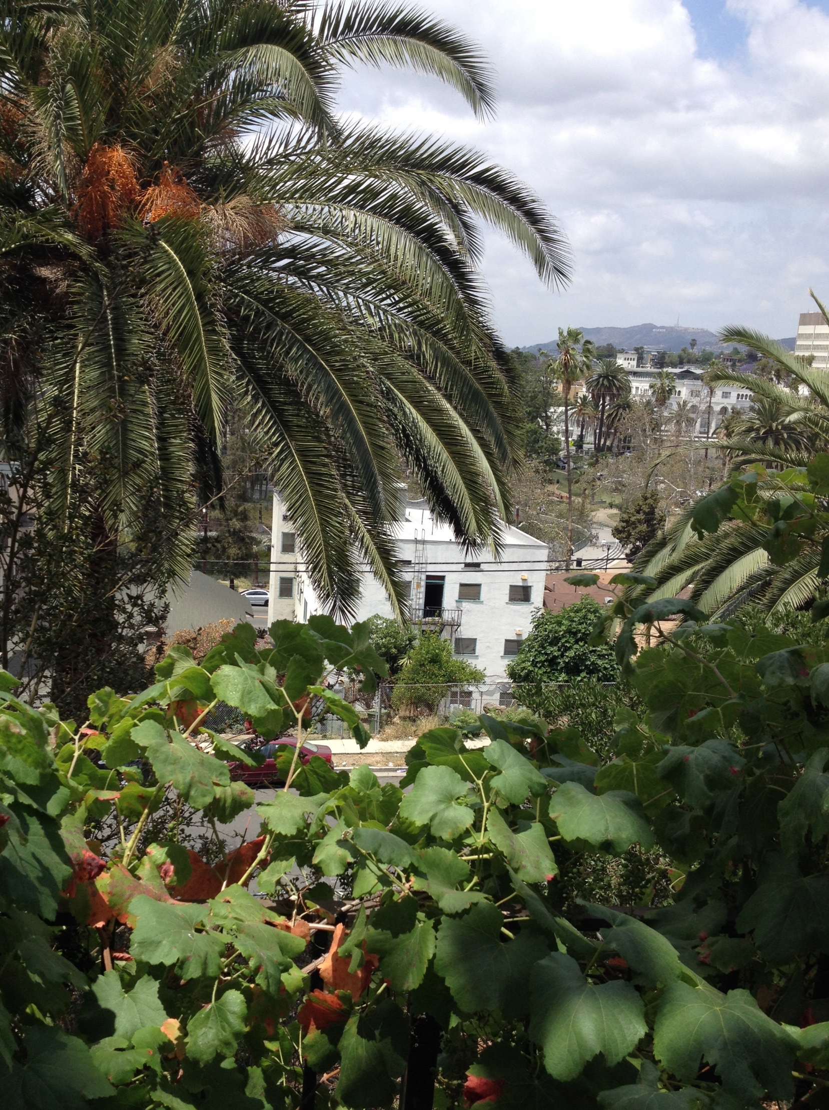 Daytime during stay in Echo park