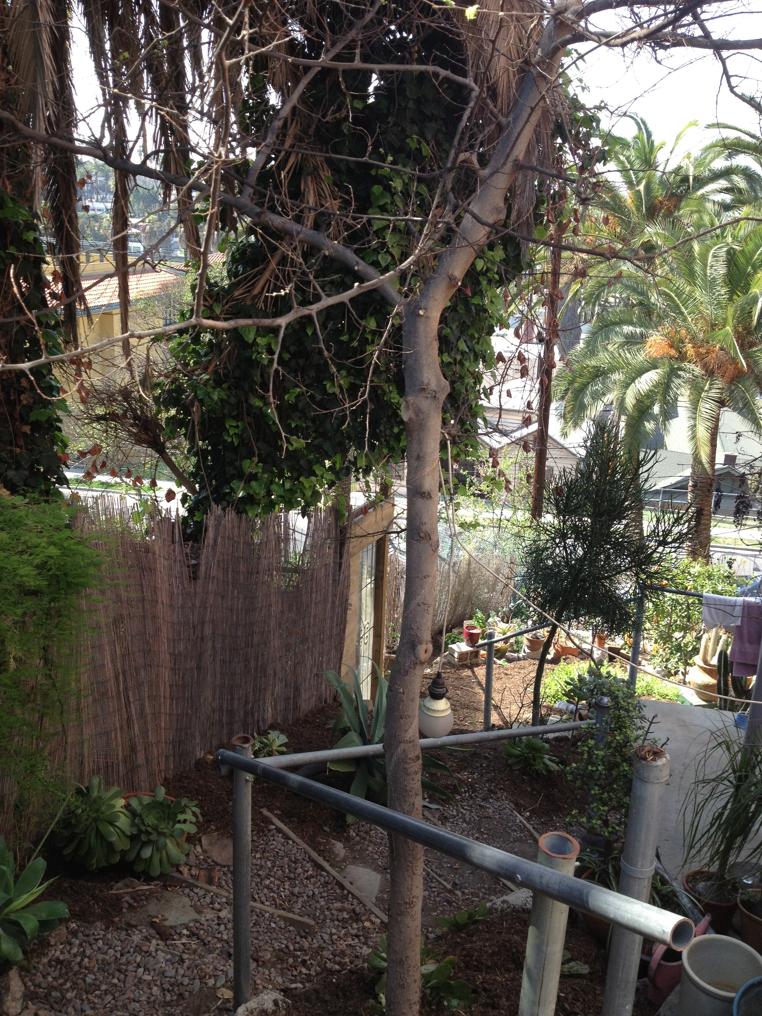 Staircase, Echo Park, CA