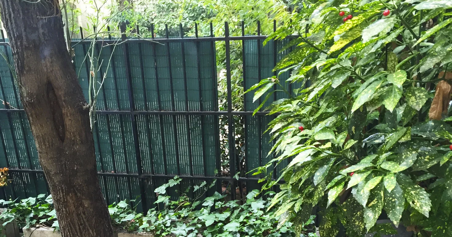 jardin.jpg