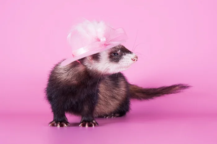 15 things to think about while you're getting a bikini wax other than the fact you're getting a bikini wax.