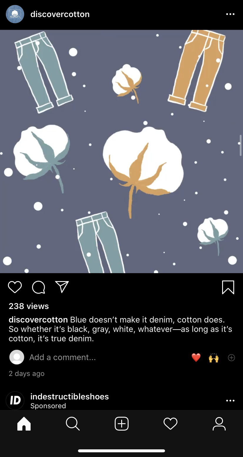 Cotton Illustration.PNG