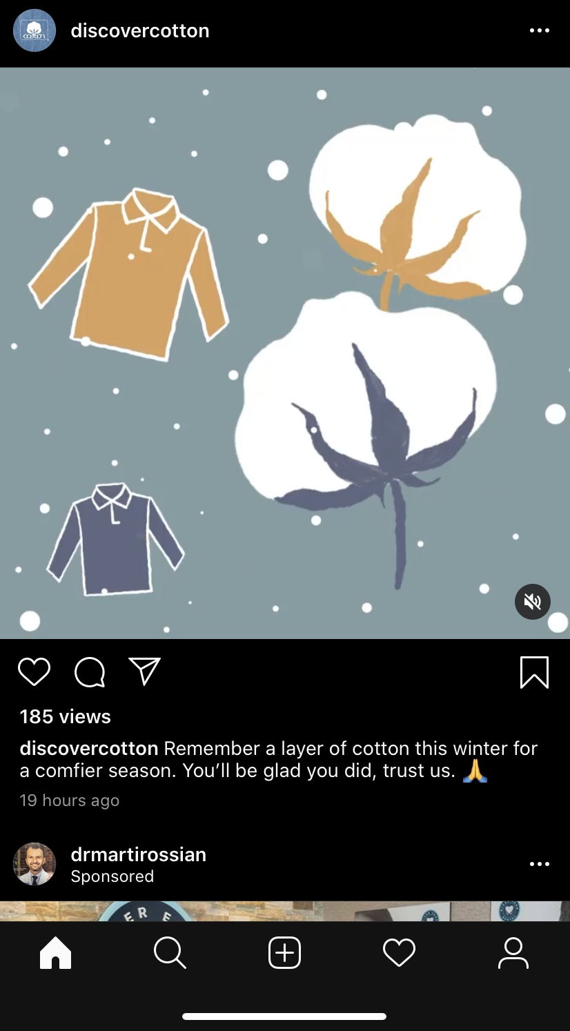 Cotton Illustration 2.PNG