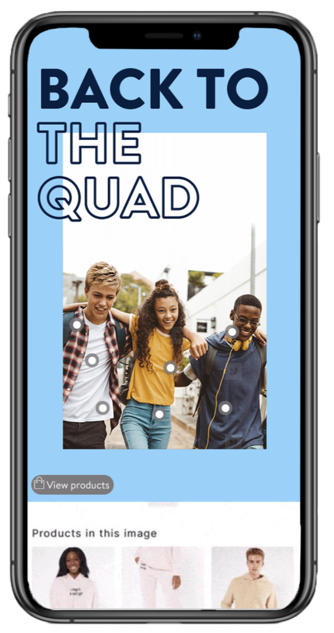 Screen Shot 2021-05-18 at 11.34.08 AM.png