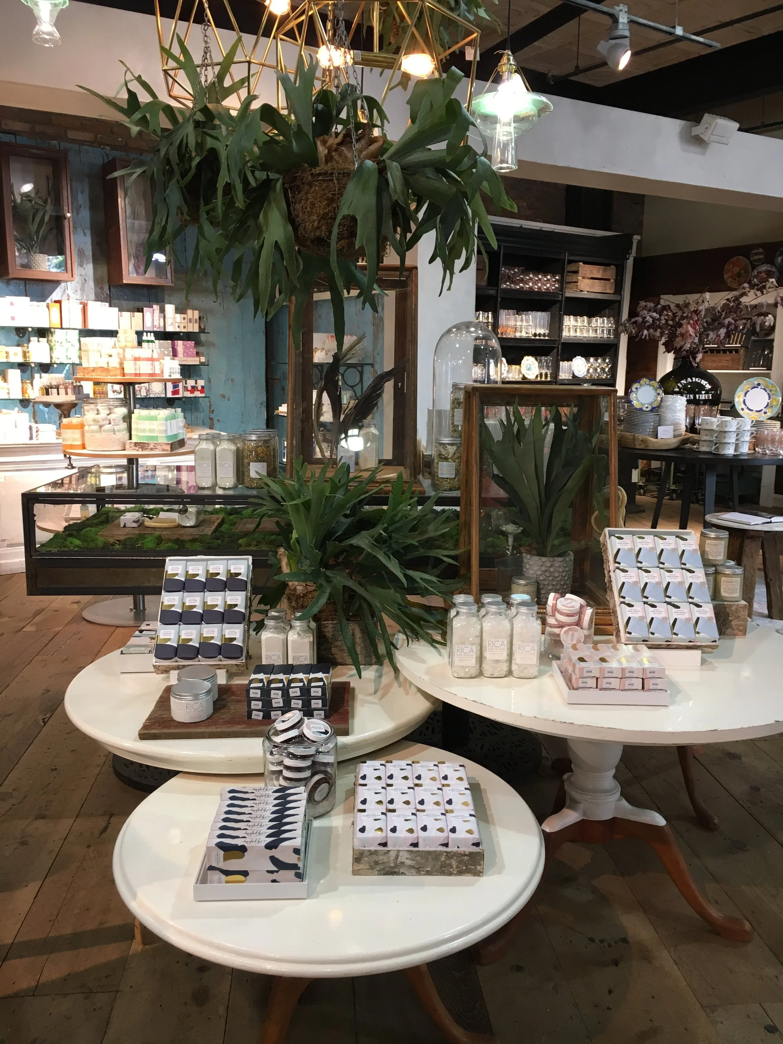 anthropologie santa monica back to school artist series 2016