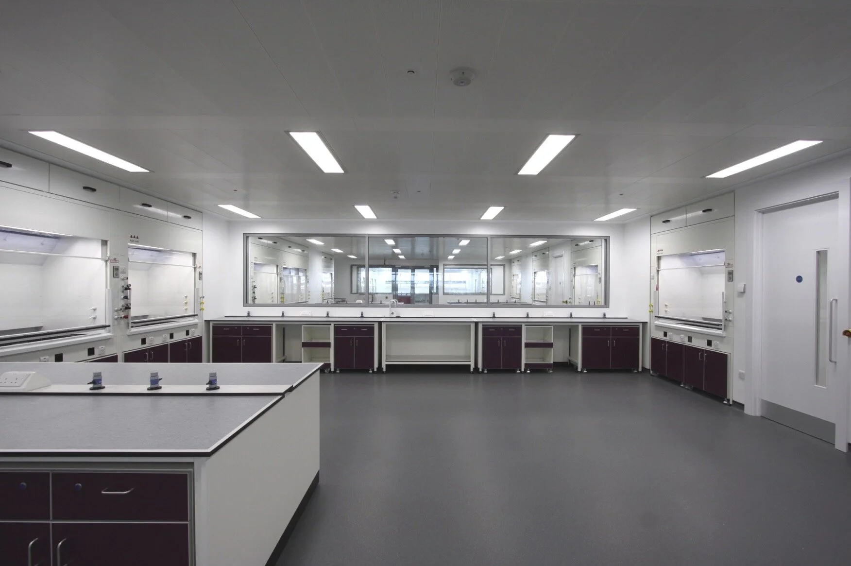 IMG_6178 reduced.jpg