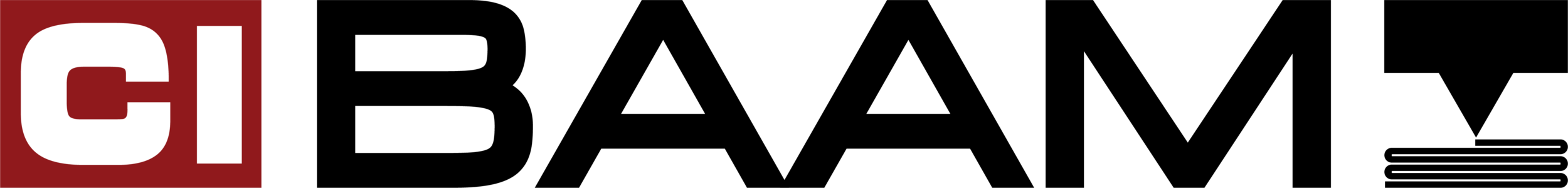 BAAM Specifications