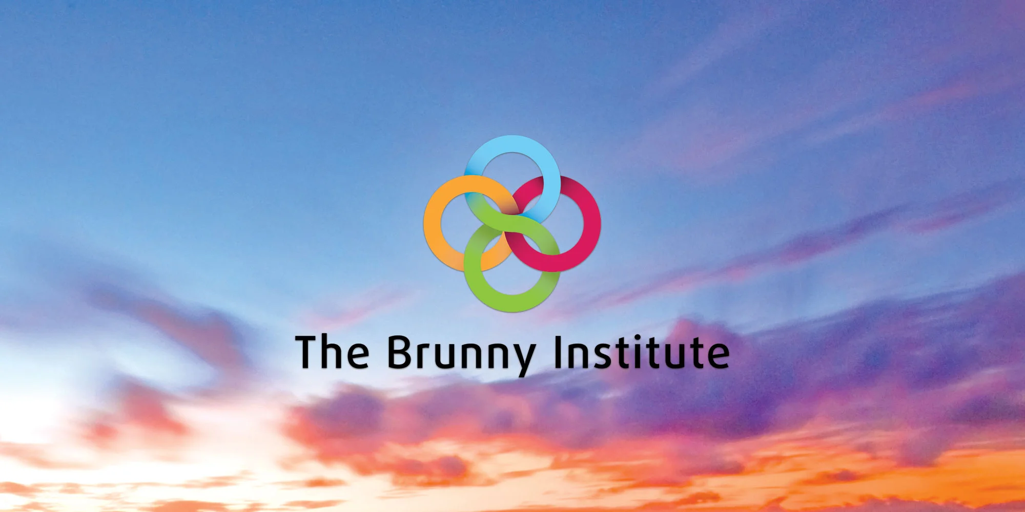 neutral7 graphic design gainesville brunny institute logo identity design branding manual
