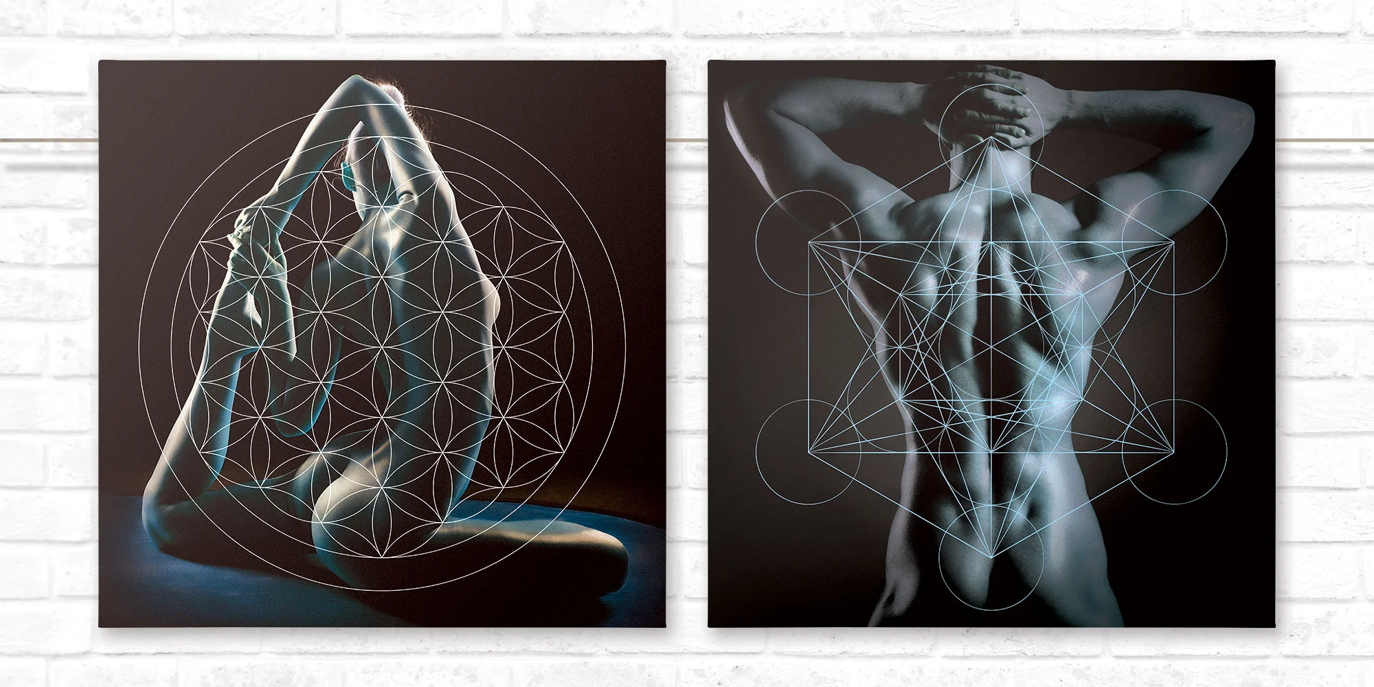 Male/Female - Albert Coronel | (Stretched Canvas Print)