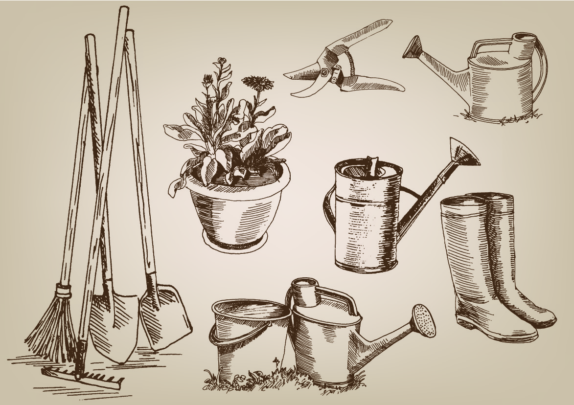 shutterstock_107014088.jpg