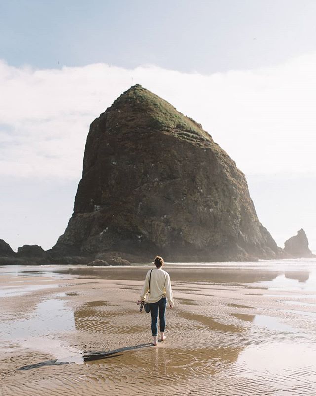 We flew 2,000 miles to look at this rock .
.
.
.
.
#pursuitofportraits - @pursuitofportraits

#aovportraits - @aovportraits

#portraitgames - @portraitgames

#portraitpage - @portraitpage

#discoverportrait - @discoverportrait

#earth_portraits - @ea