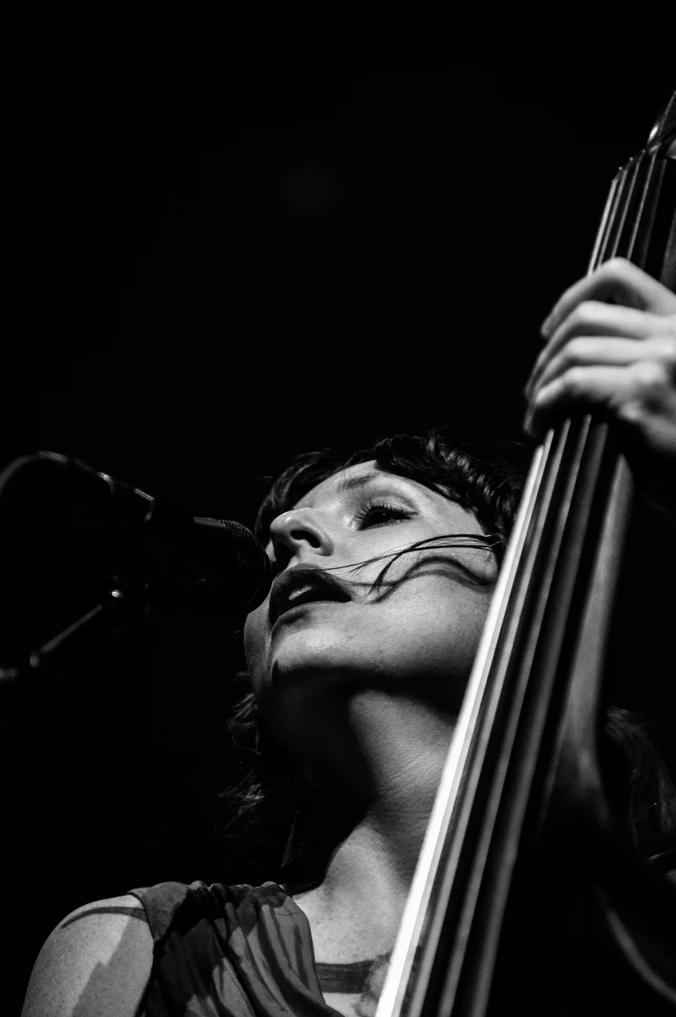 23417101582_0f62d34b69_k.jpg
