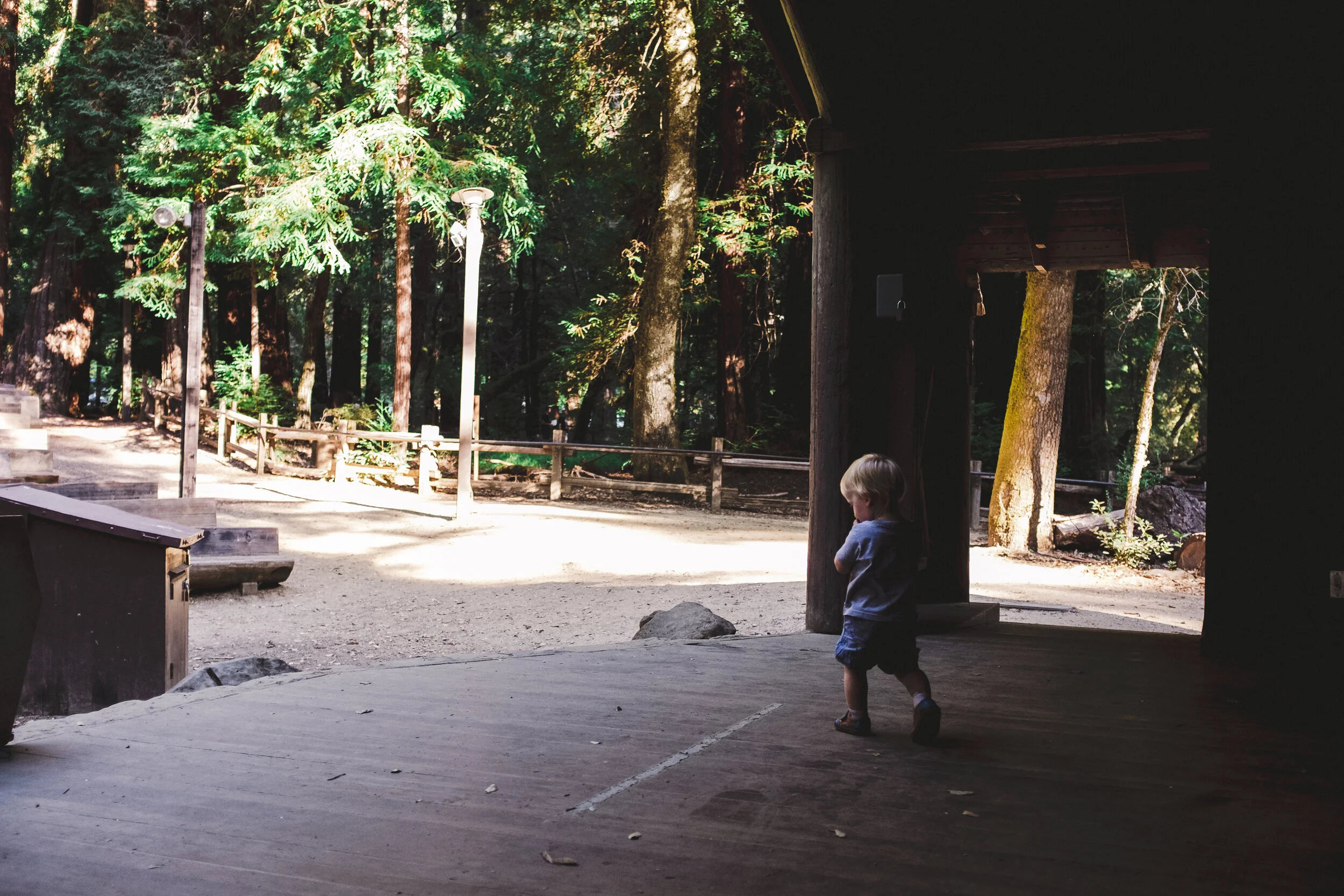 big basin 2019-September 01, 2019-97.jpg
