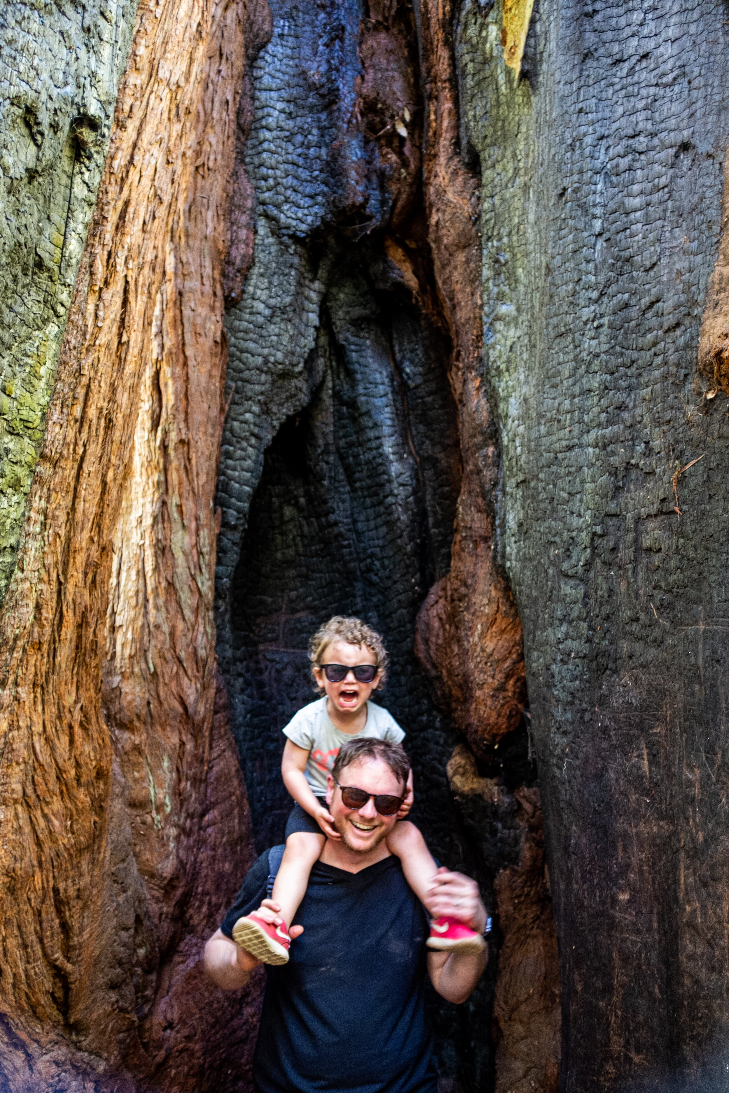 big basin 2019-September 01, 2019-58.jpg