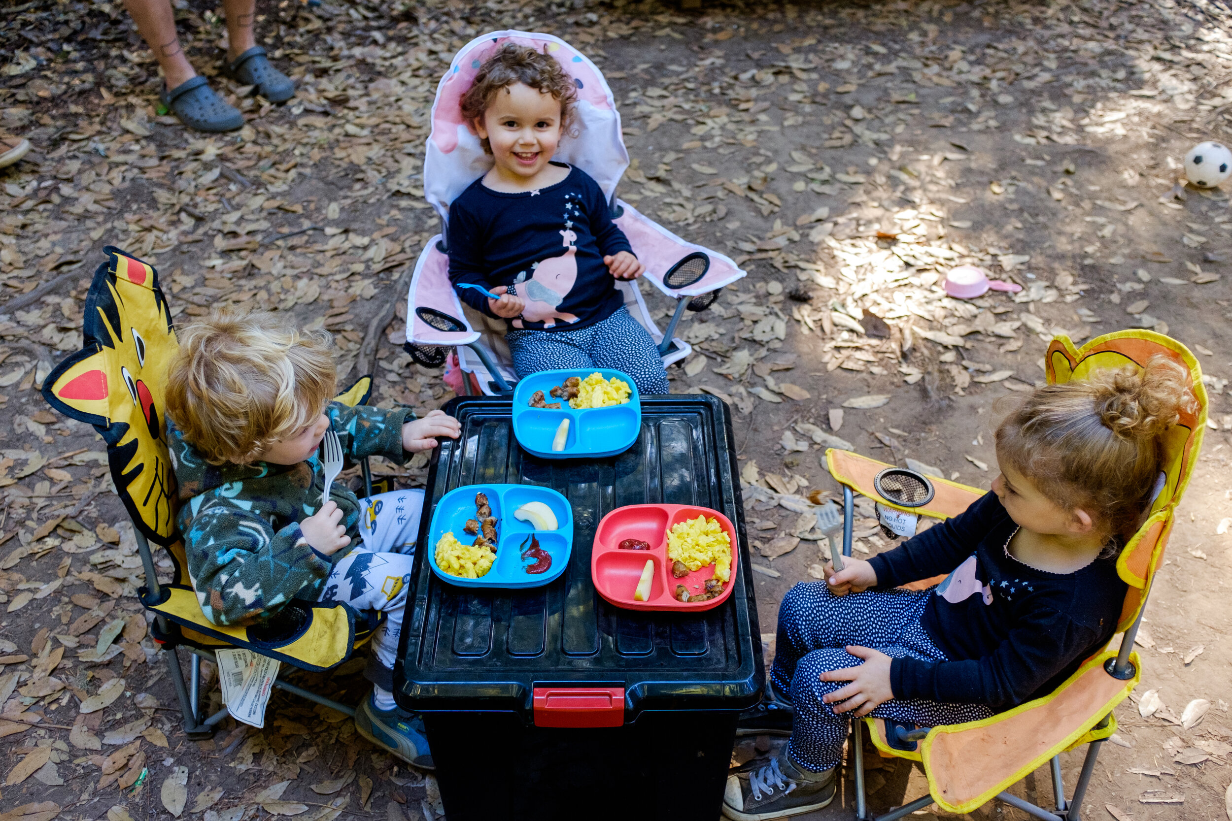 big basin 2019-September 01, 2019-30.jpg