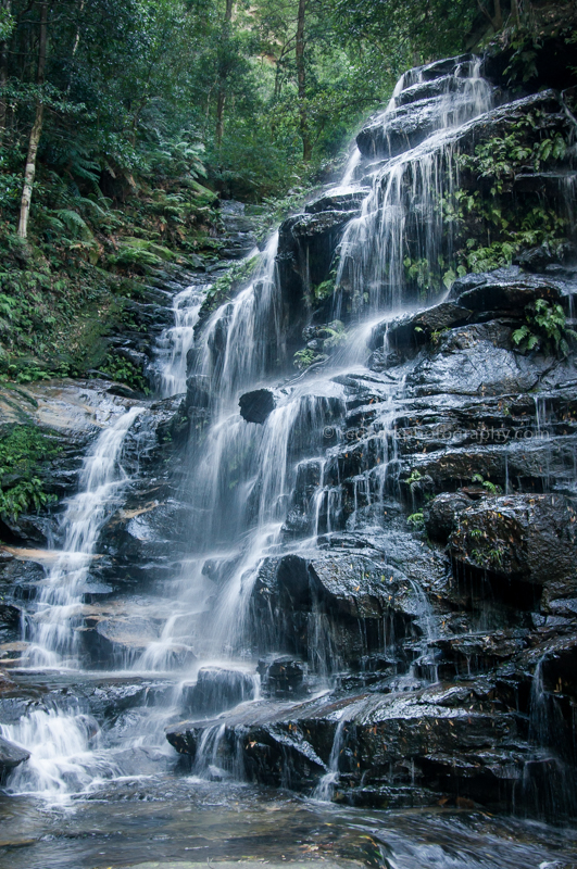 DSC_0434.jpg