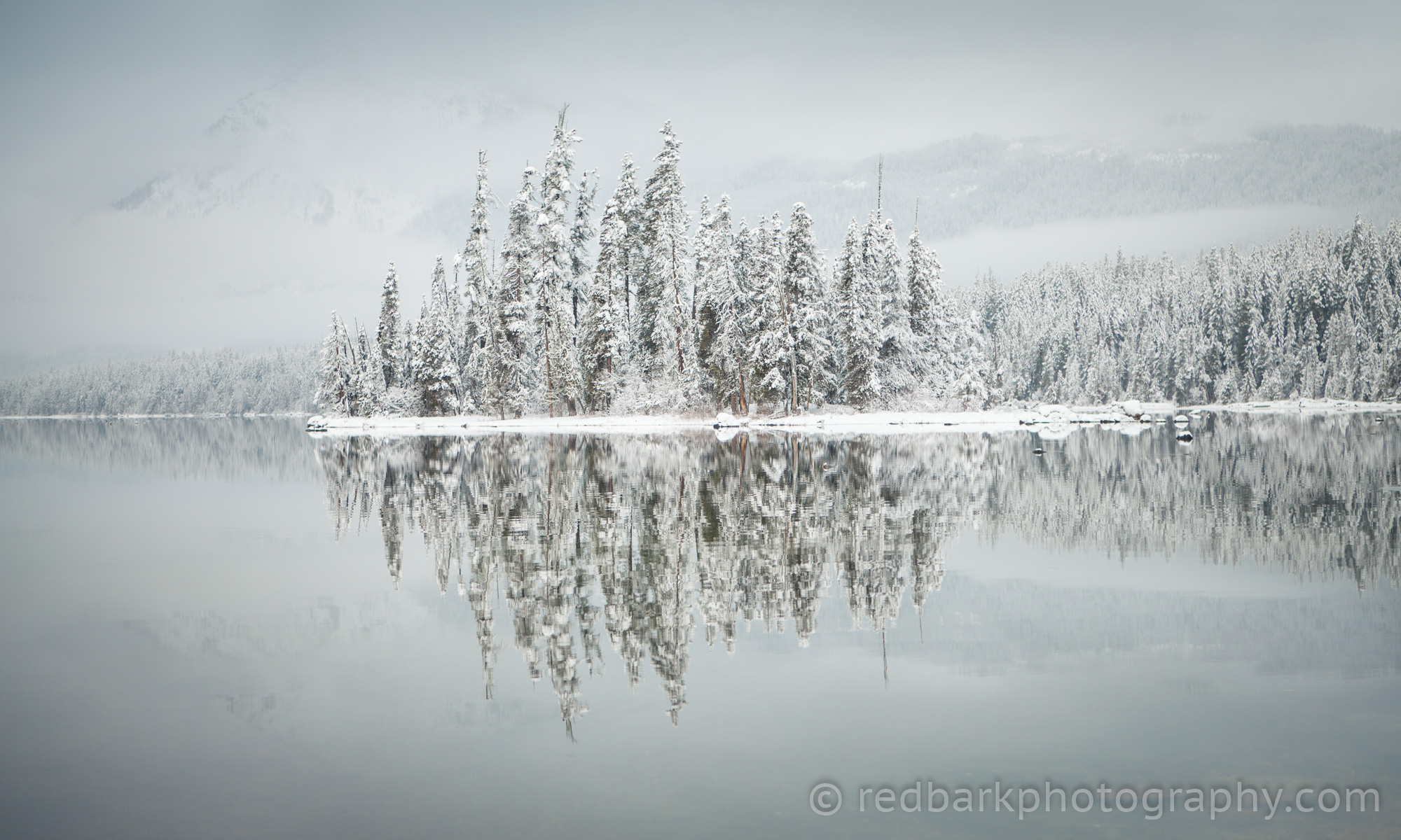 Lake Wenatchee Reflections in Snow