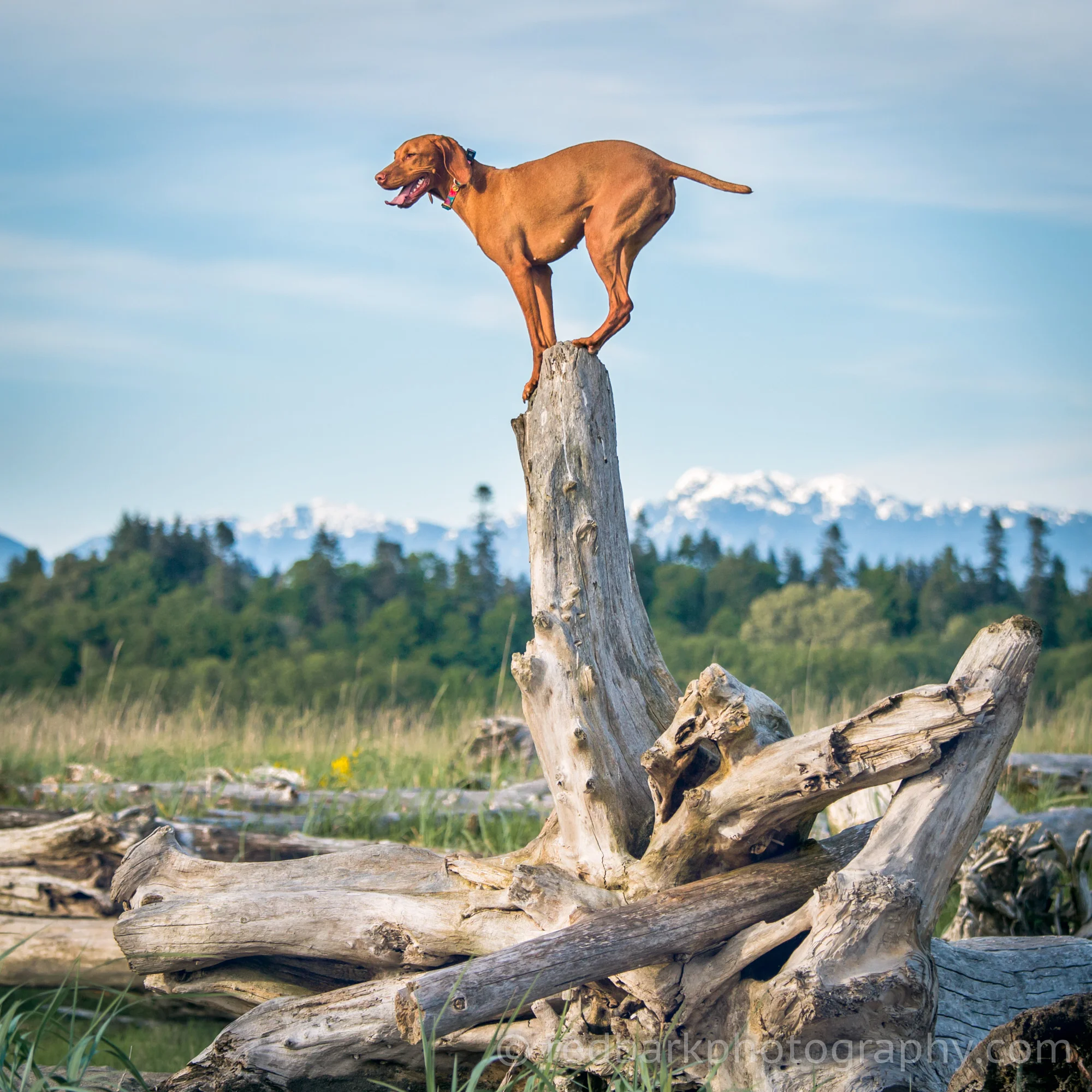 redbark_insta_mywhiskeygirl_17_1Q4A0861-Edit.jpg