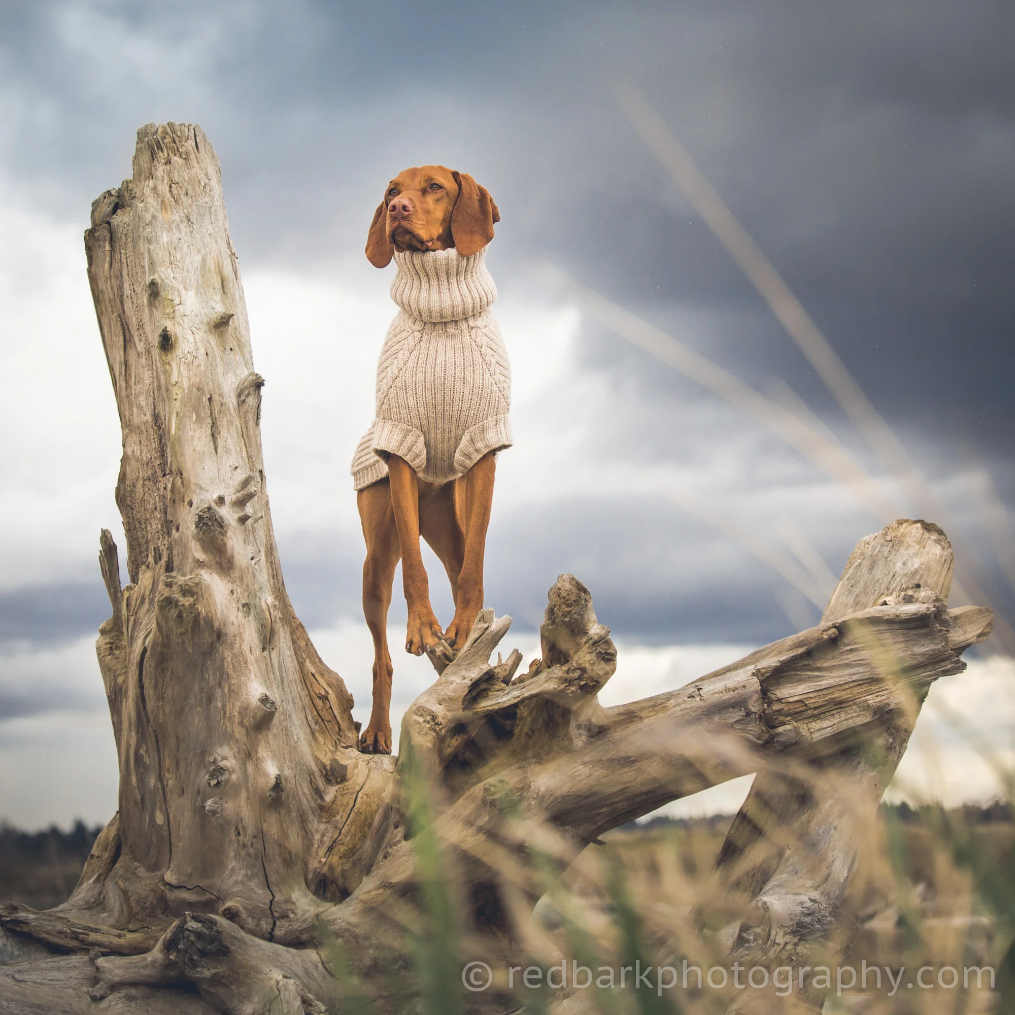 redbark_insta_mywhiskeygirl_18_1Q4A0540.jpg