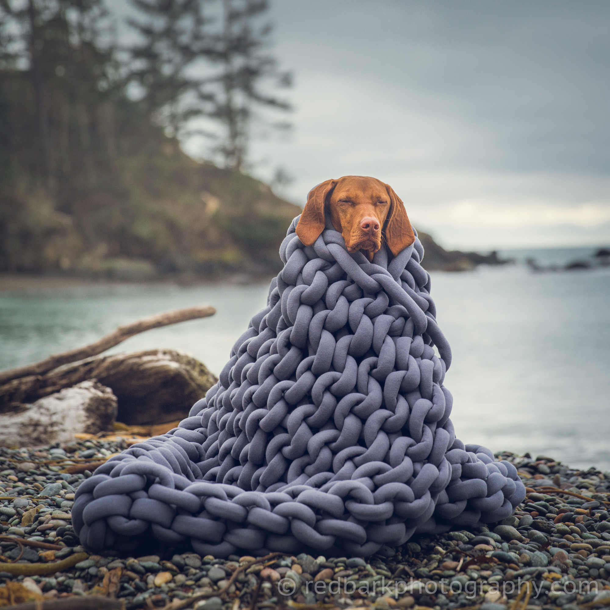 redbark_insta_mywhiskeygirl_18_1Q4A0925-Edit.jpg