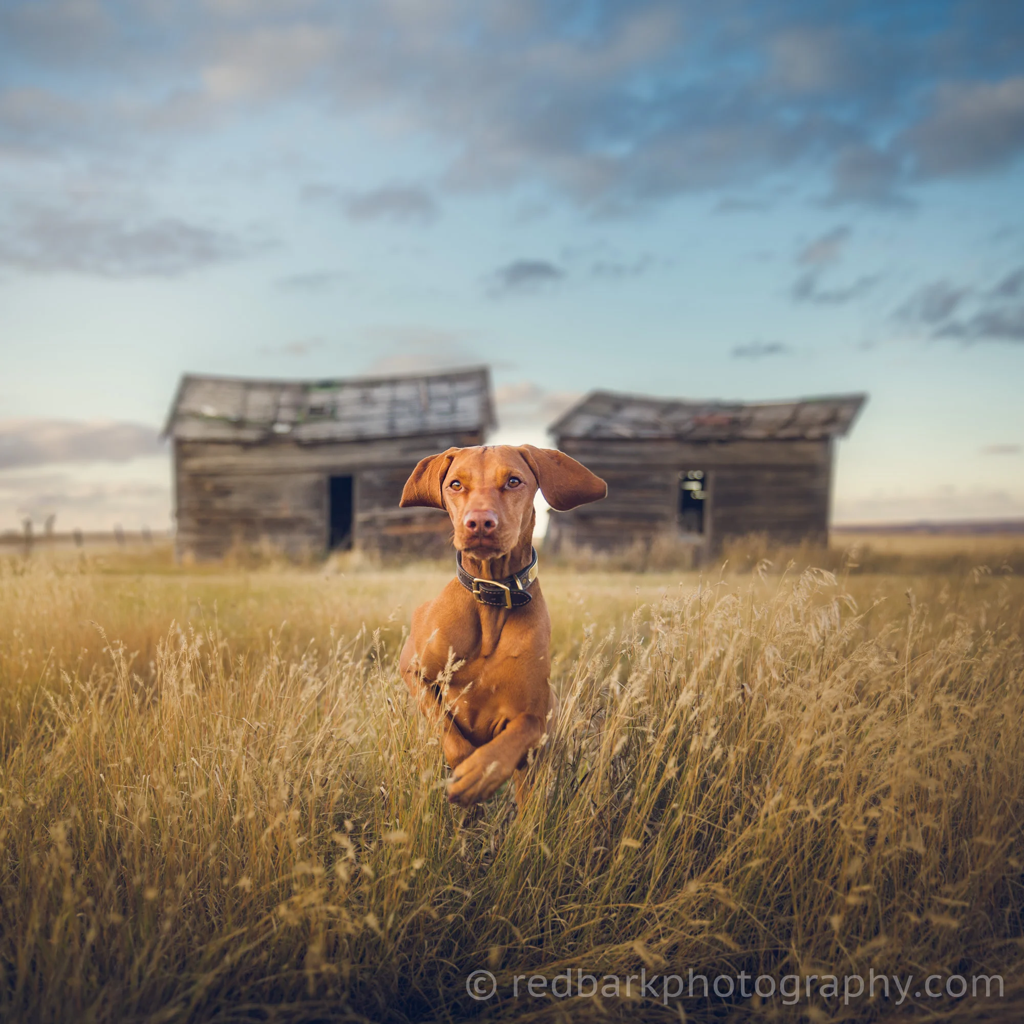 redbark_insta_mywhiskeygirl_18_1Q4A2222-Edit.jpg