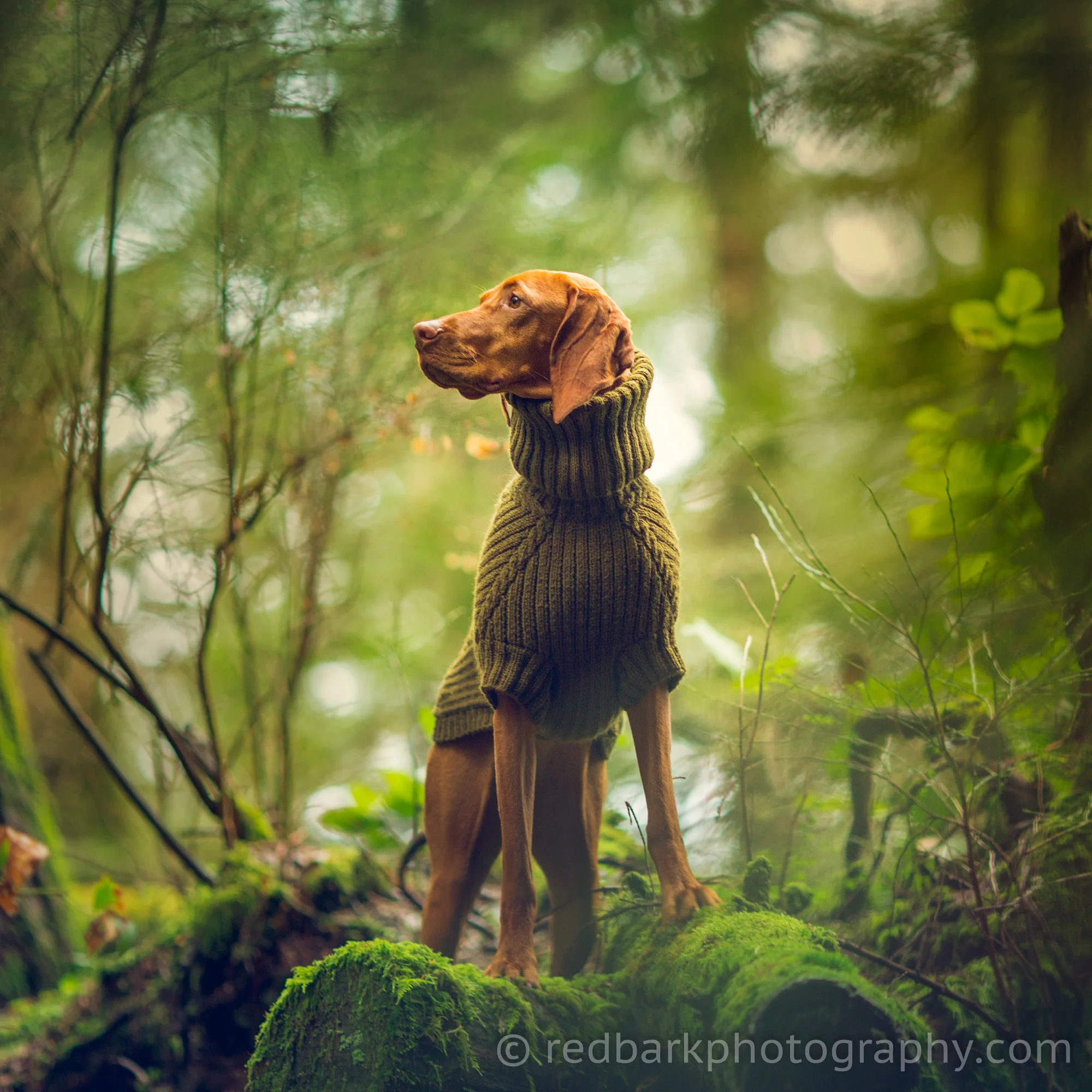 redbark_insta_mywhiskeygirl_18_1Q4A4561-Edit.jpg