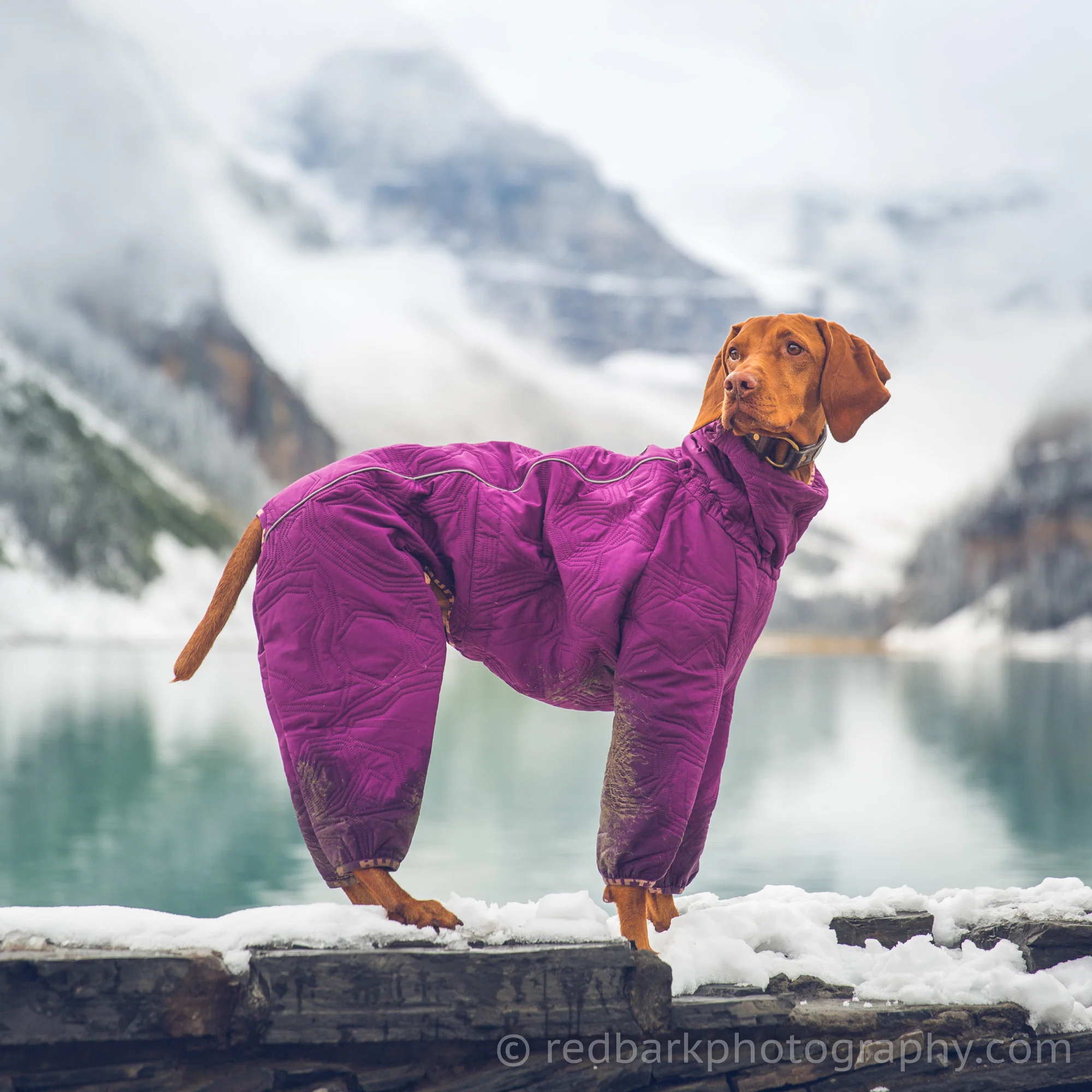 redbark_insta_mywhiskeygirl_18_1Q4A7490.jpg