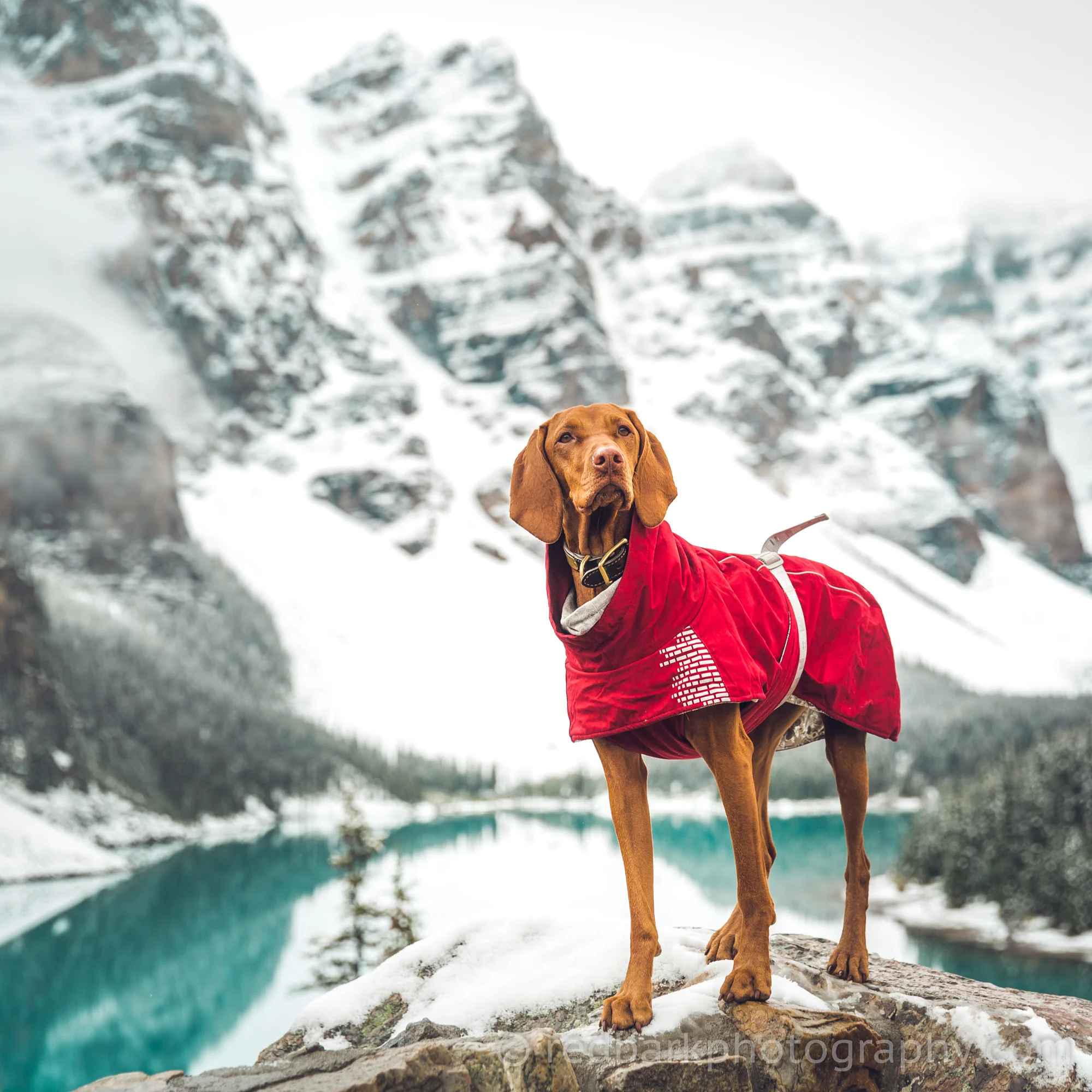 redbark_insta_mywhiskeygirl_18_1Q4A7961.jpg