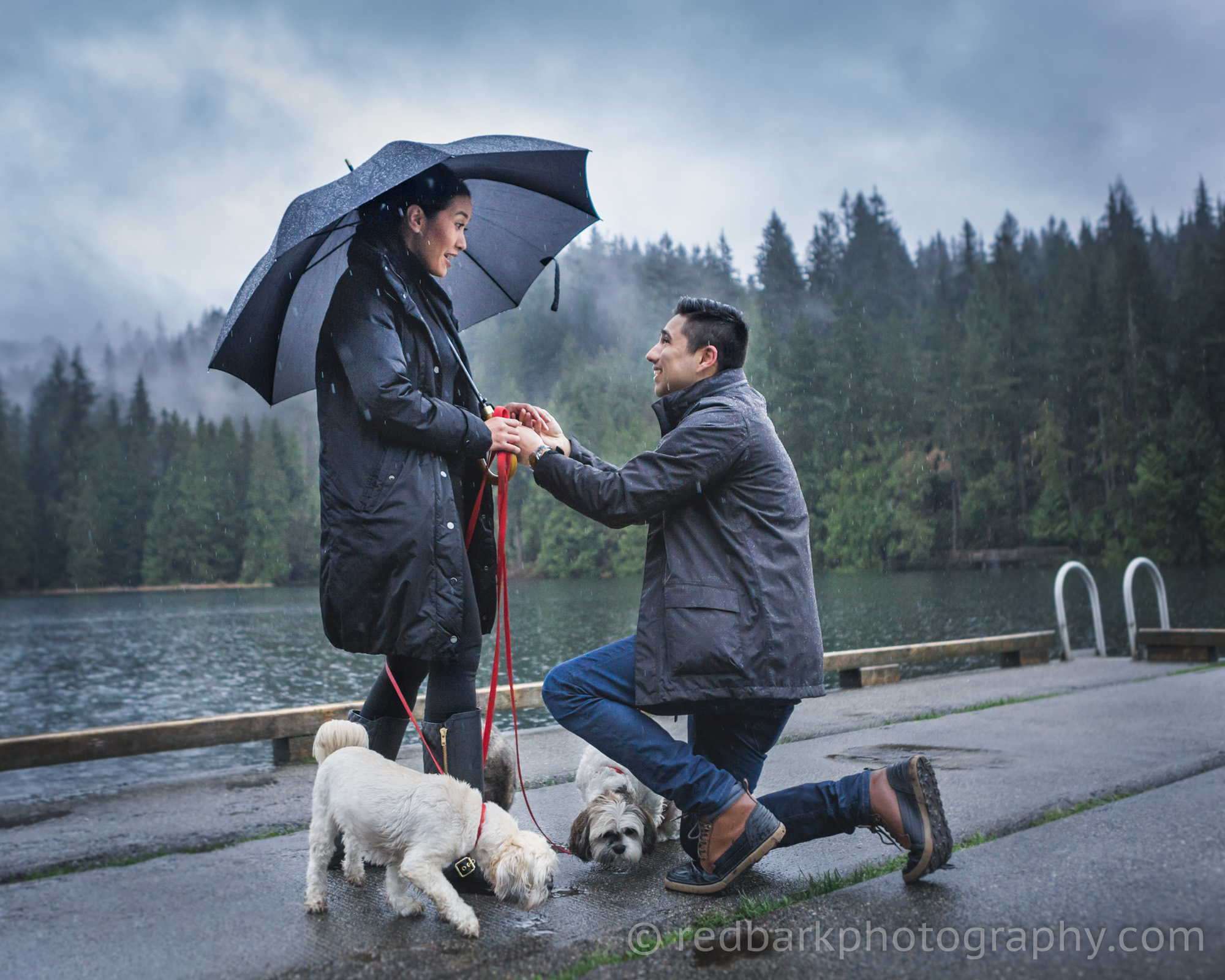 Outdoor rainy engagement with dogs