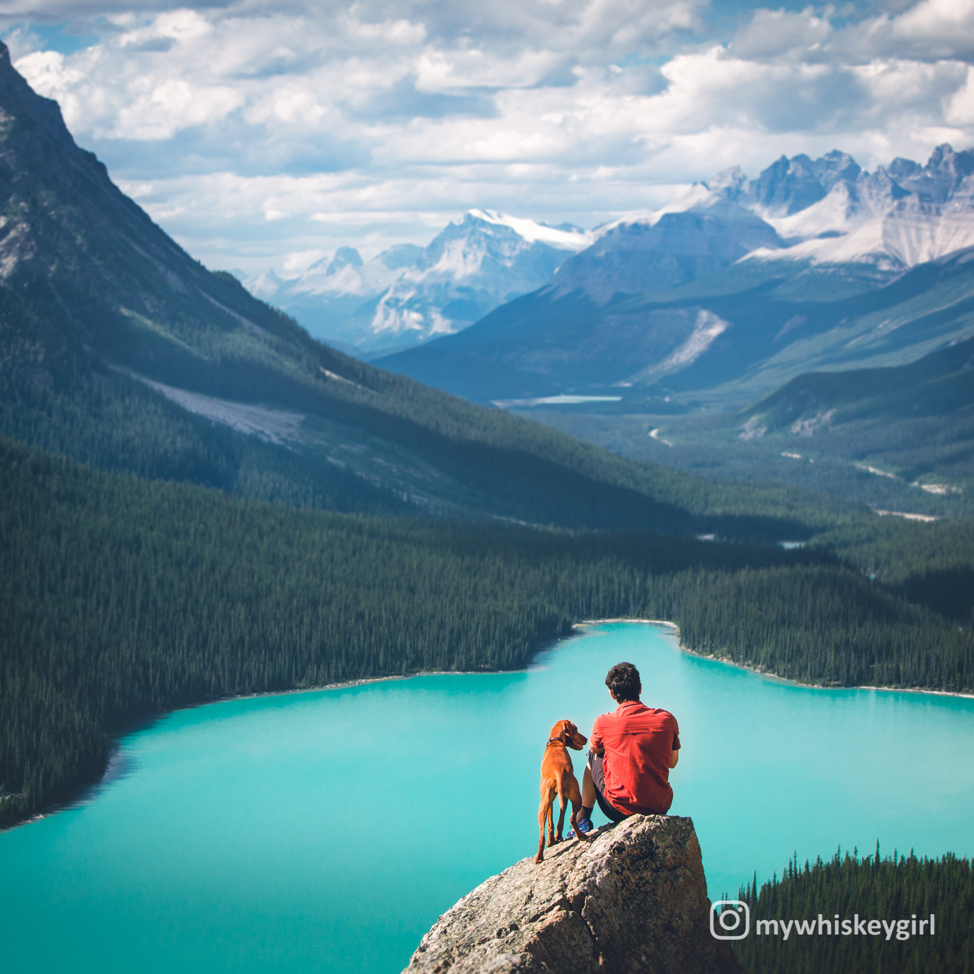 Peyto Lake with a best friend