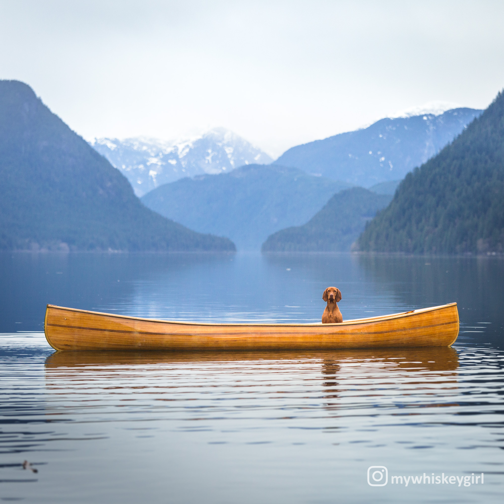 Lonely Paddle