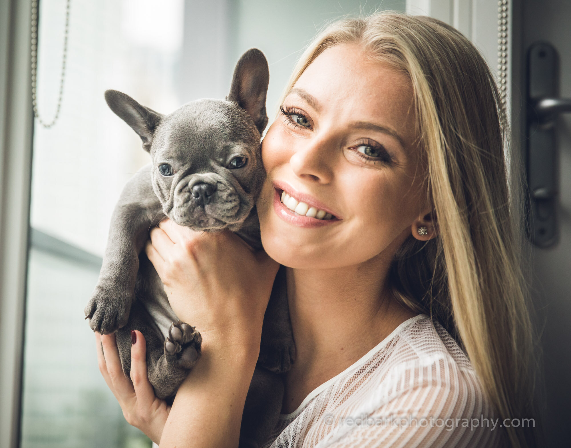 Blue French Bulldog Puppy with girl