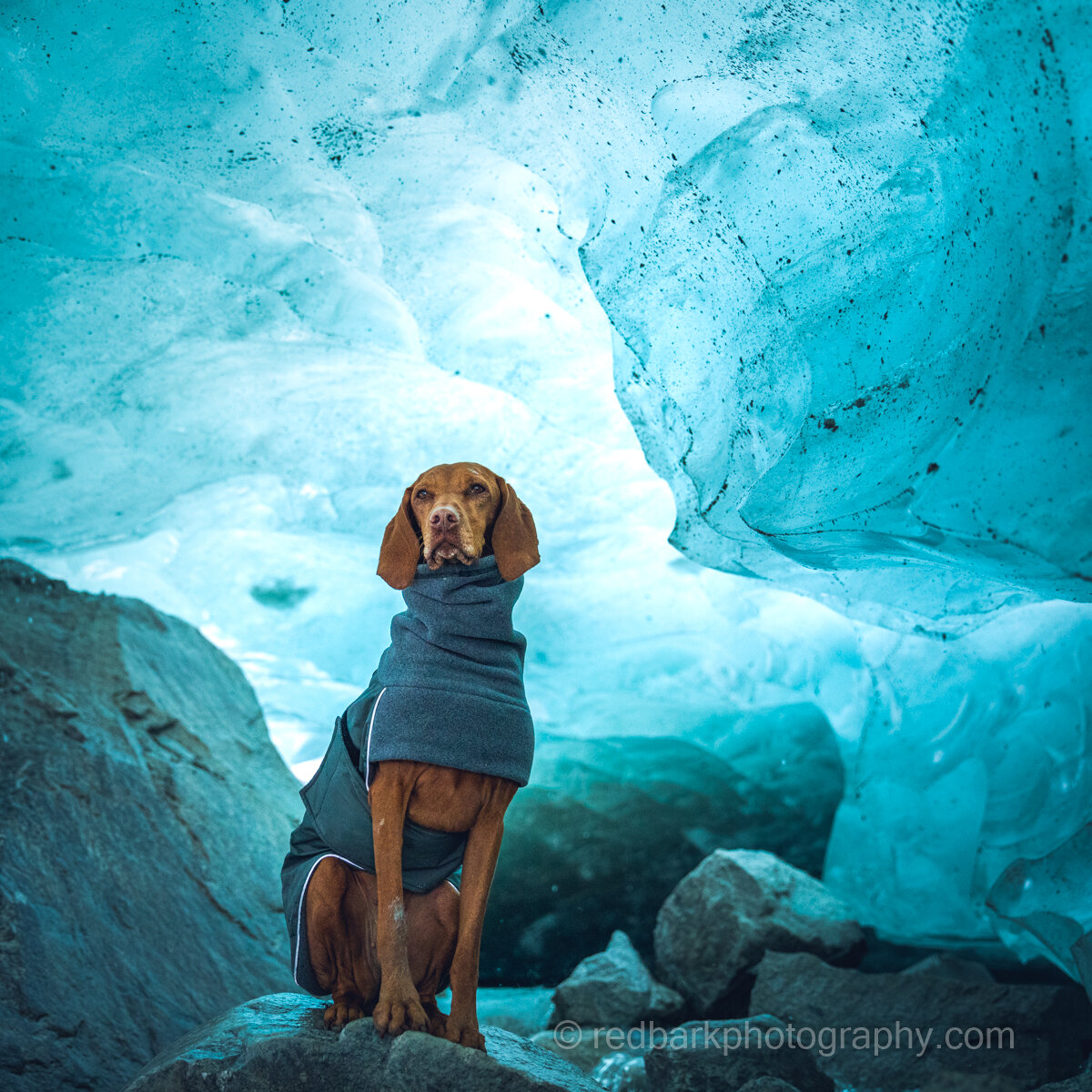 Ice Cave with Whiskey