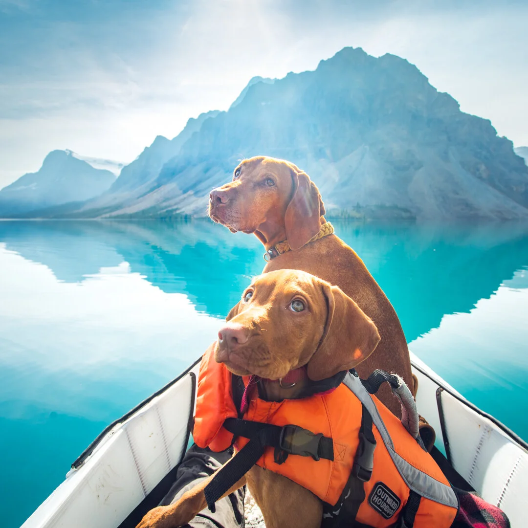 Kayaking with Whiskey and Bourbon