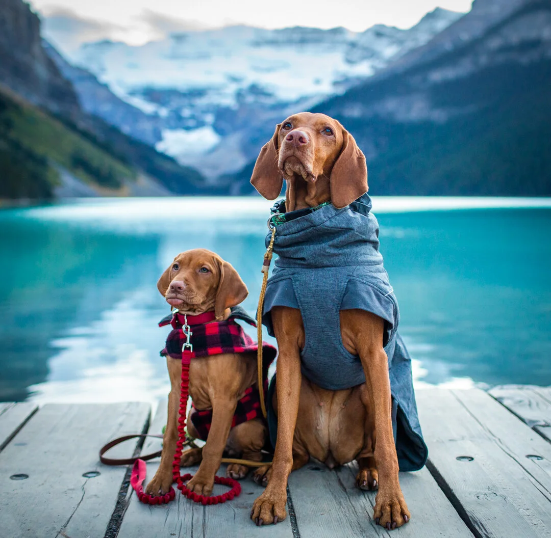 Whiskey and Bourbon at Lake Moraine