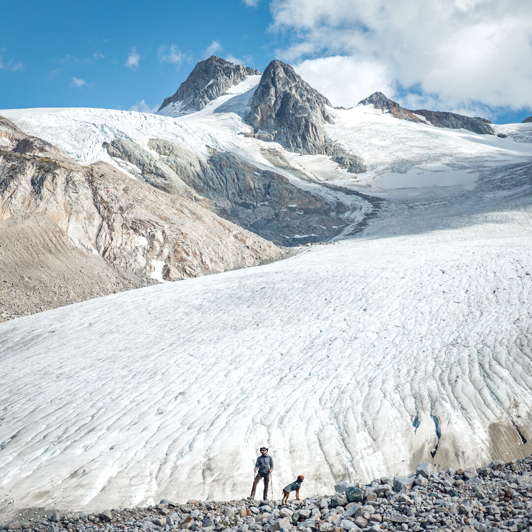 Alpine Glaciers