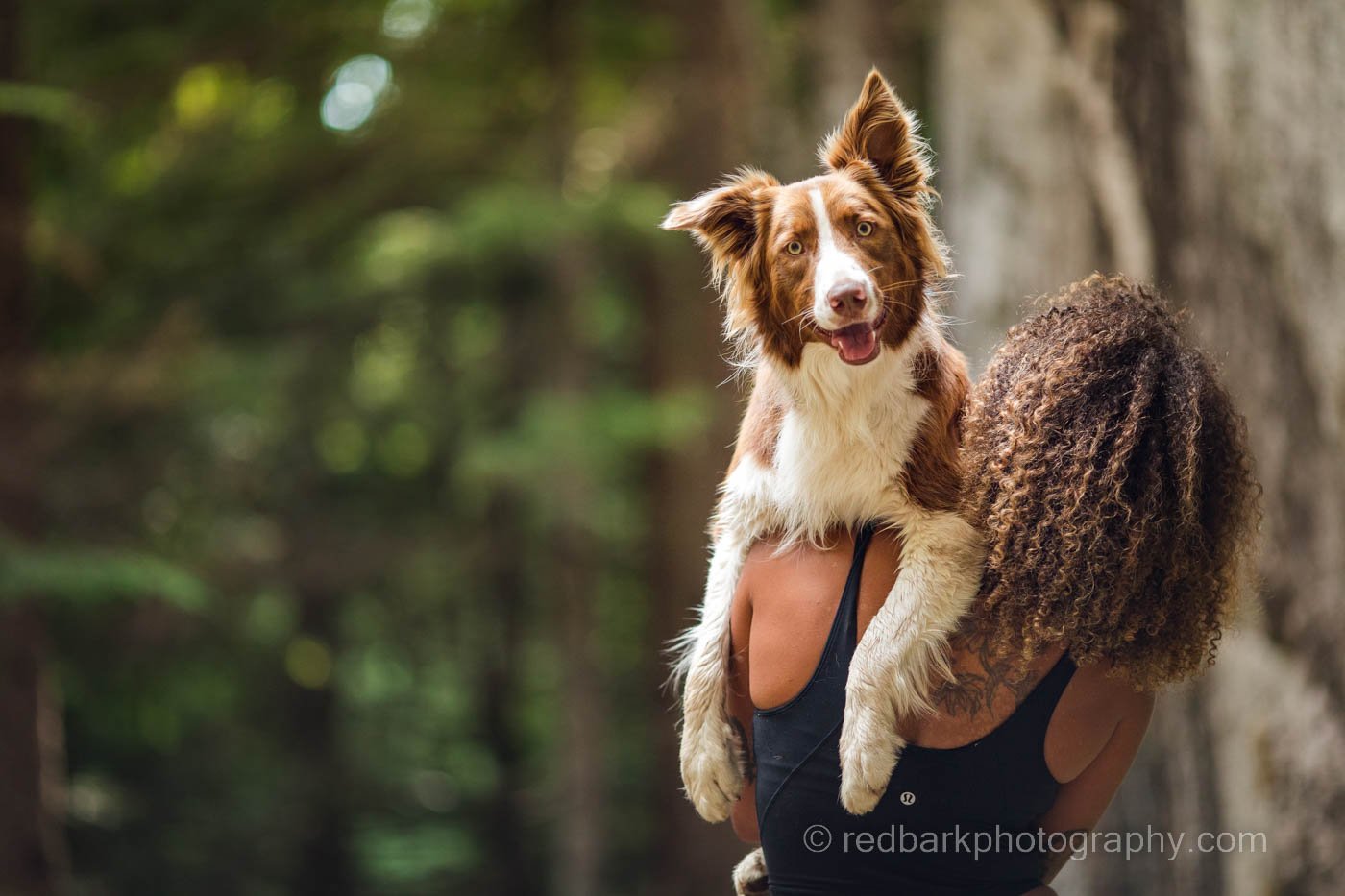 Hiking with Dogs and great hair